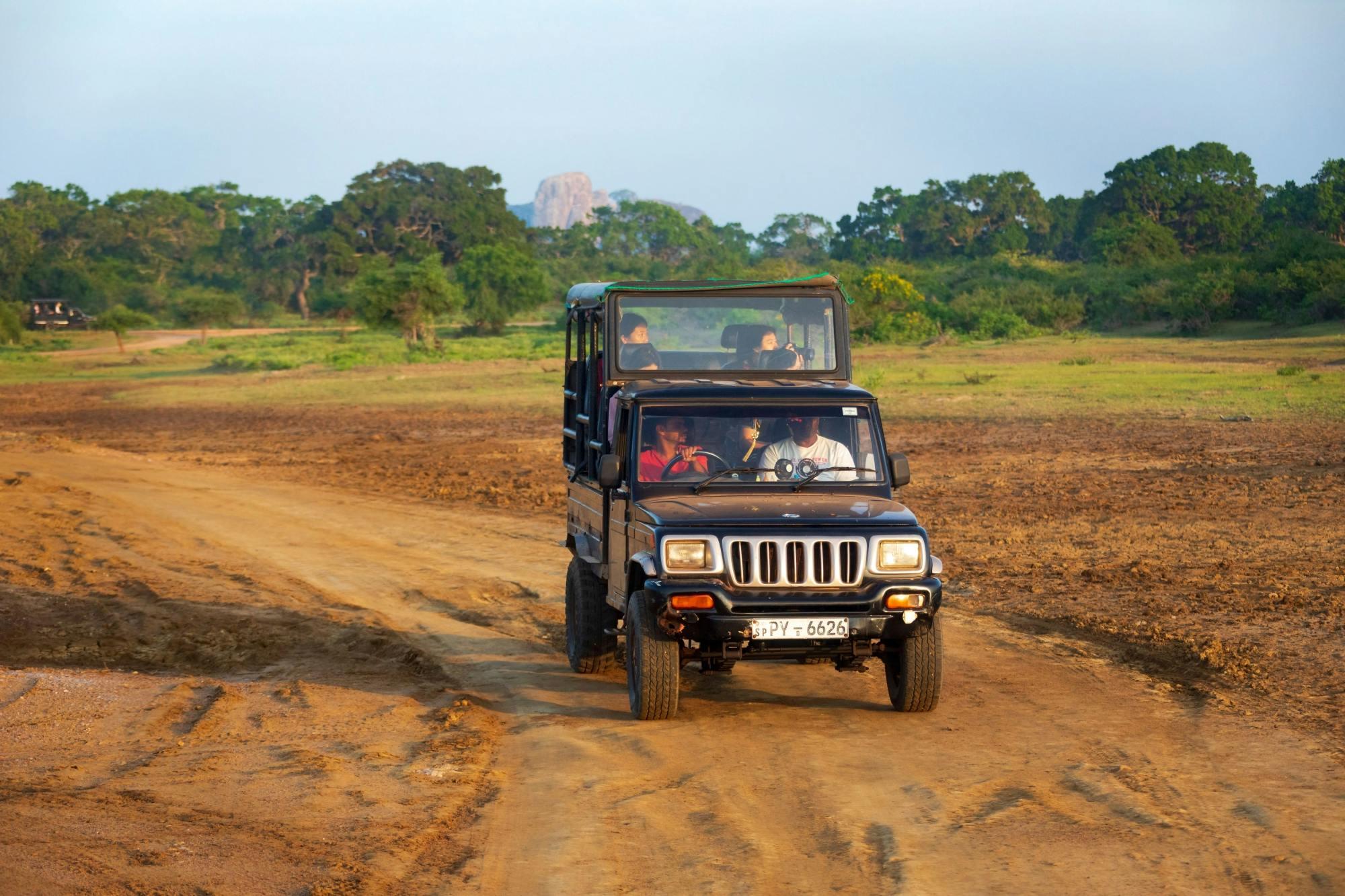 Galle to Yala One Day Tour | Yala Safari & Dunhinda Waterfall
