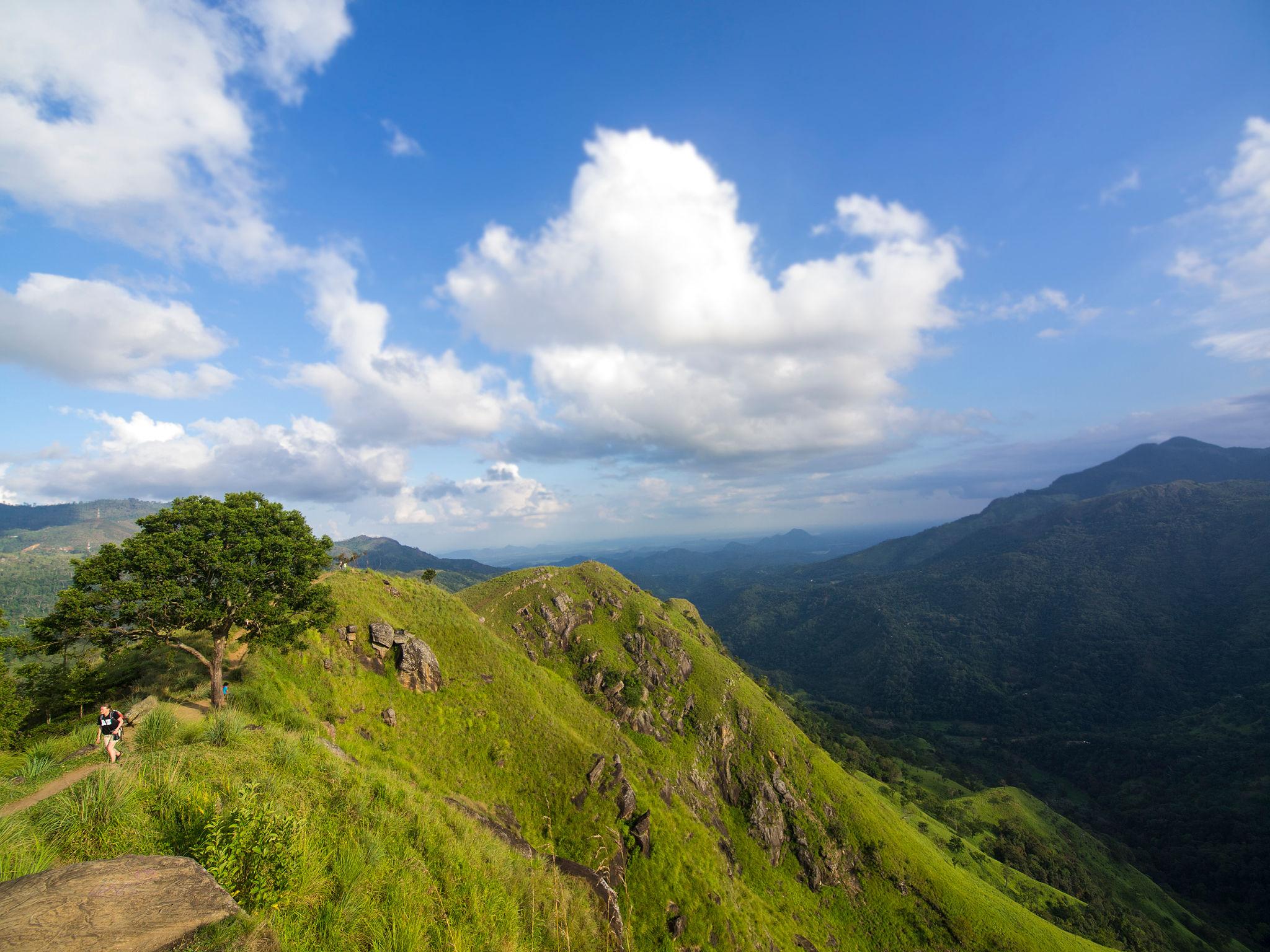 Galle & Ella to Udawalawe Safari One Day Tour