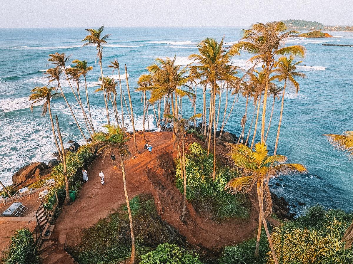 Galle to Mirissa One Day Tour | Whale Watching & Coconut Tree Hill