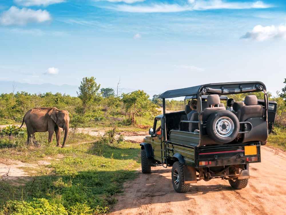 Sri Lanka 5 Nights 6 Days Tour | Galle, Mirissa, Yala, Ella, Kandy & Sigiriya