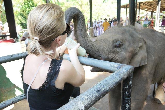 Sri Lanka 3 Days 2 Nights Tour | Pinnawala, Sigiriya, Anuradhapura & Polonnaruwa